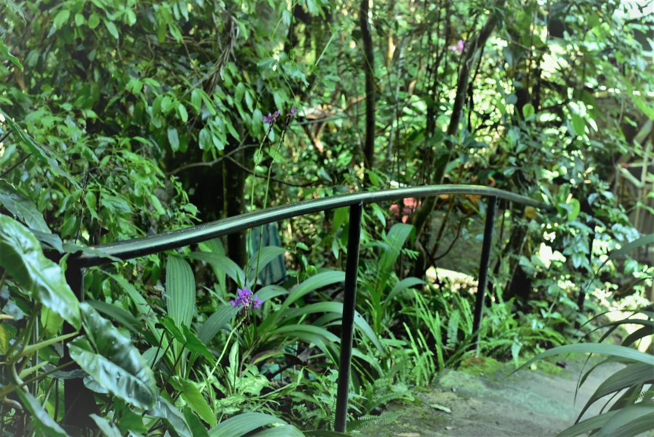 Samadhi Nature Resort Элла Экстерьер фото