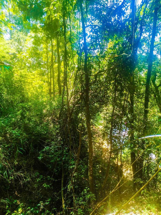 Samadhi Nature Resort Элла Экстерьер фото