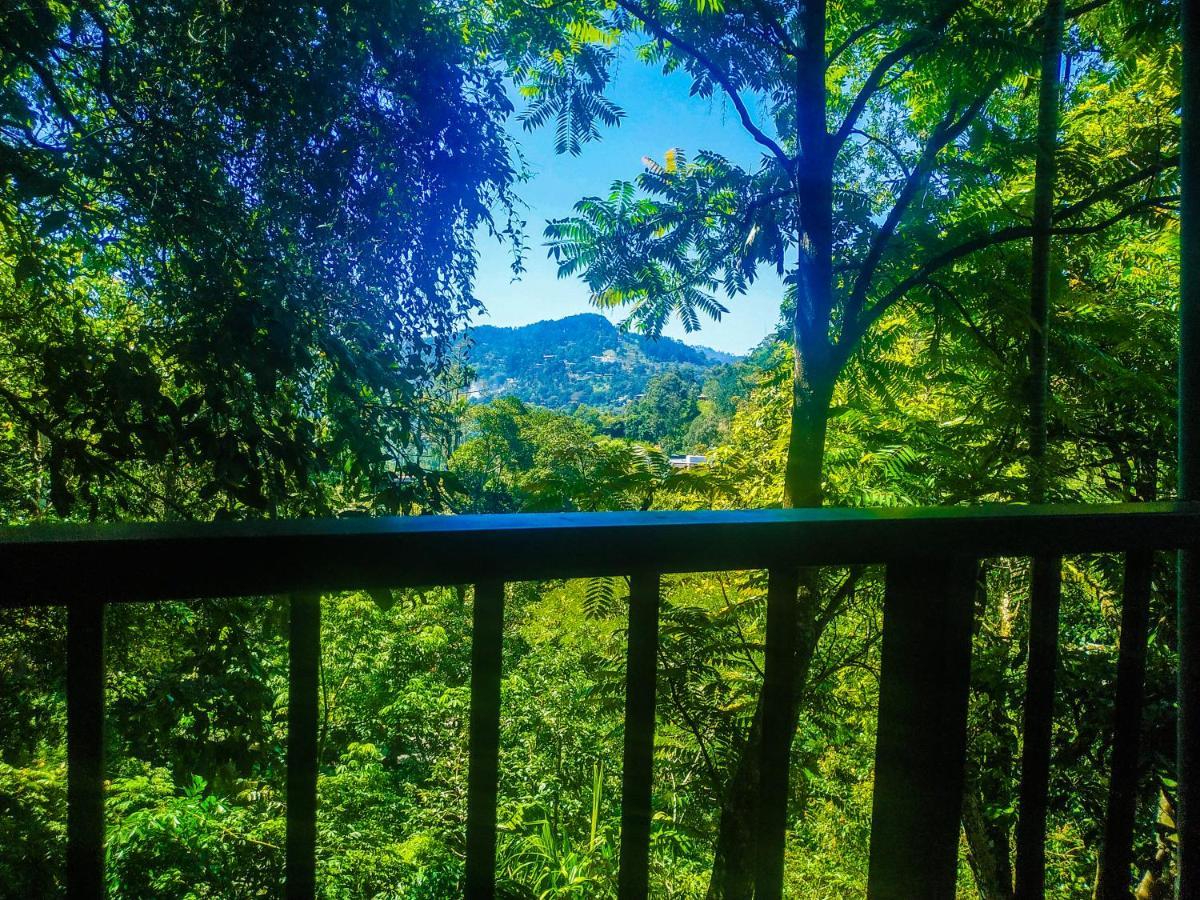 Samadhi Nature Resort Элла Экстерьер фото